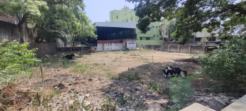 Land for sales
