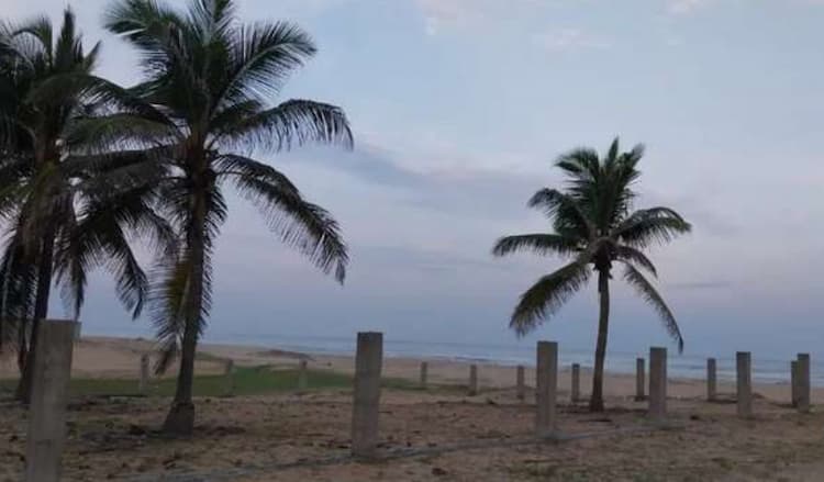 Land for sales