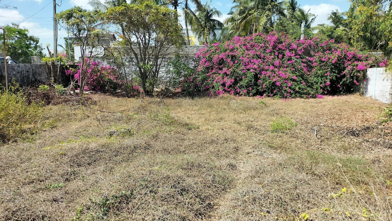 Plot for sale
