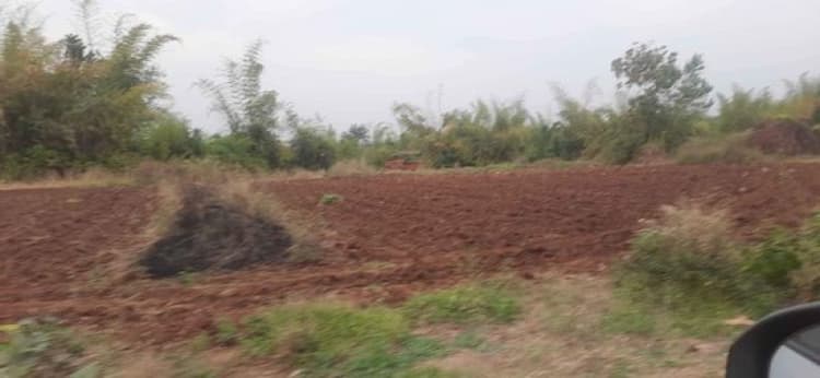 Land sale