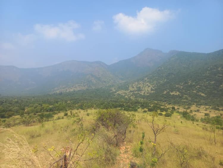 Single Property Image
