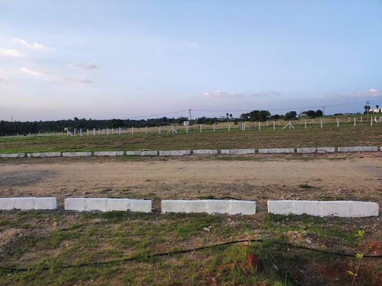 52 Cent Land For Sale