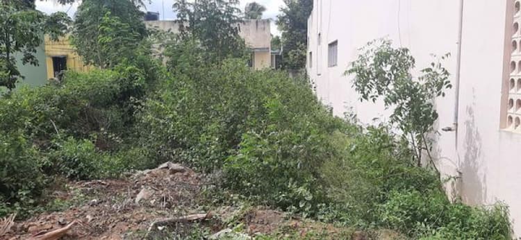 Single Property Image