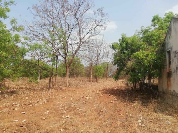Single Property Image