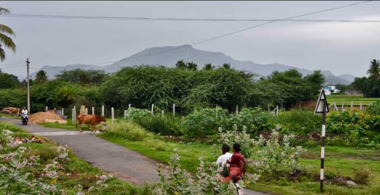 Single Property Image