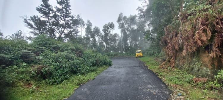 Land for Sale in Mannavanur Kodaikanal