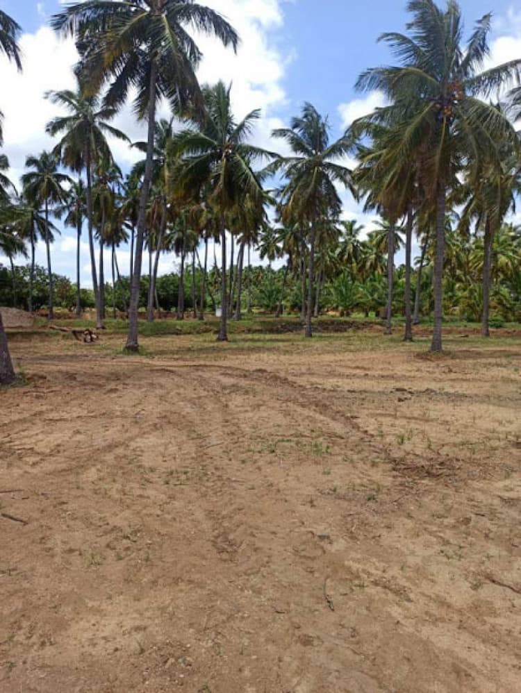 Agricultural Land 
