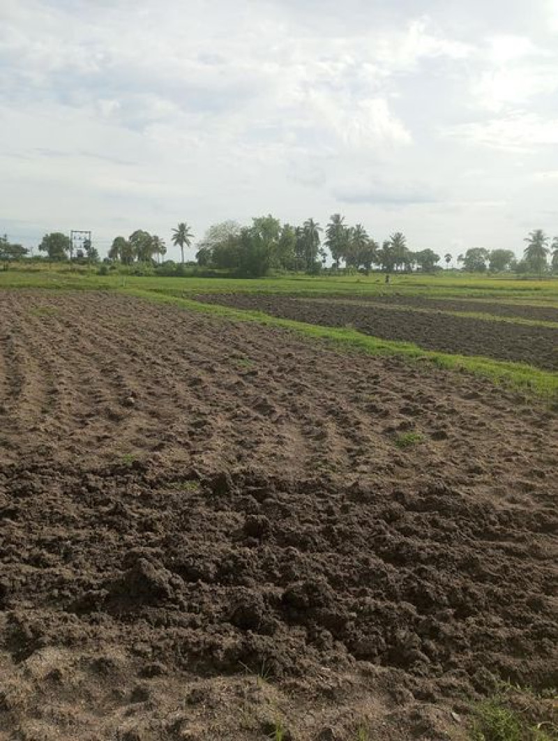 Farm land sale