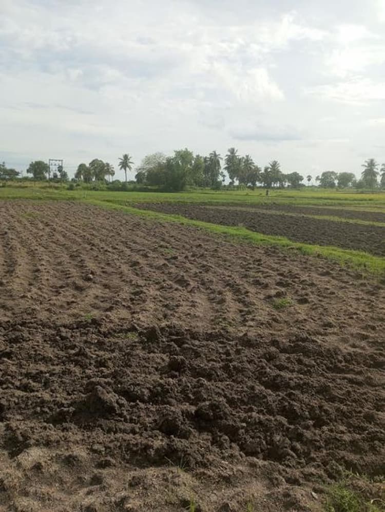 Farm land sale