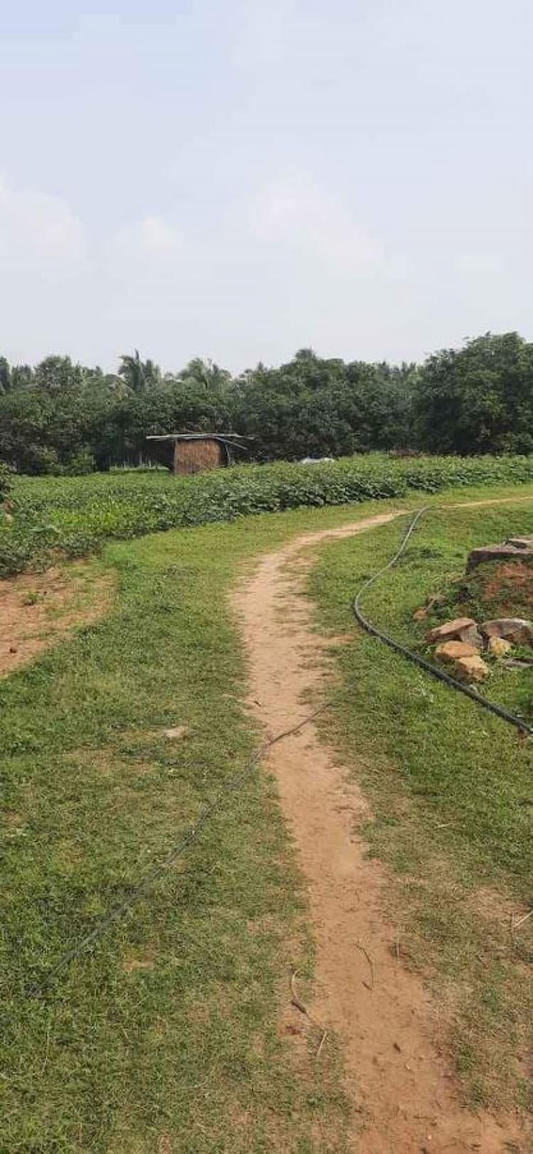 agri land for sale