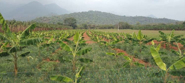 Single Property Image