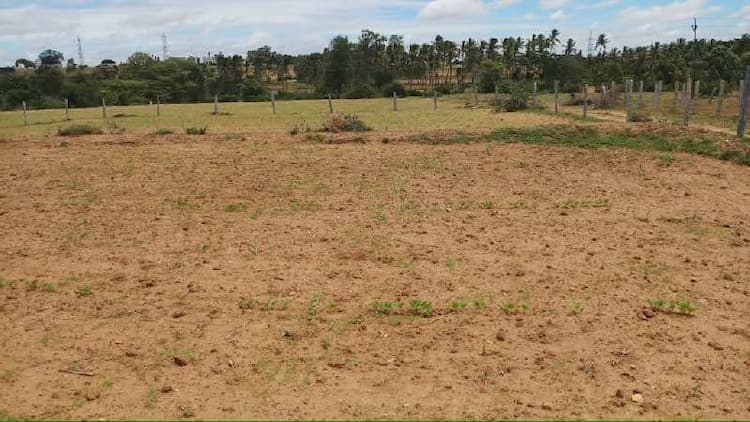 Plot sale