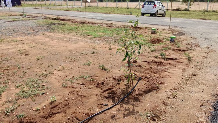 Single Property Image