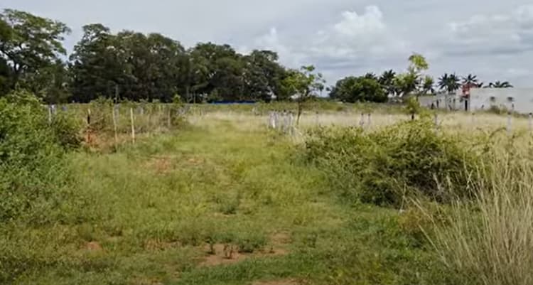 Land for sales