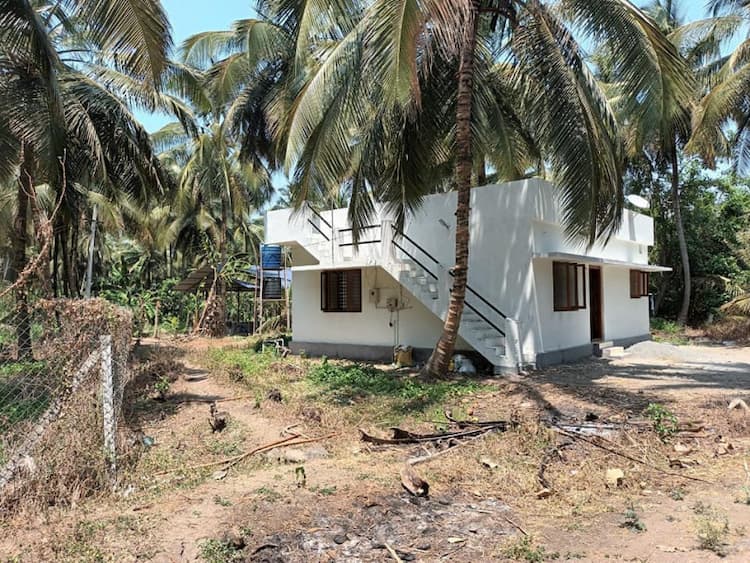 coconut farm for sale