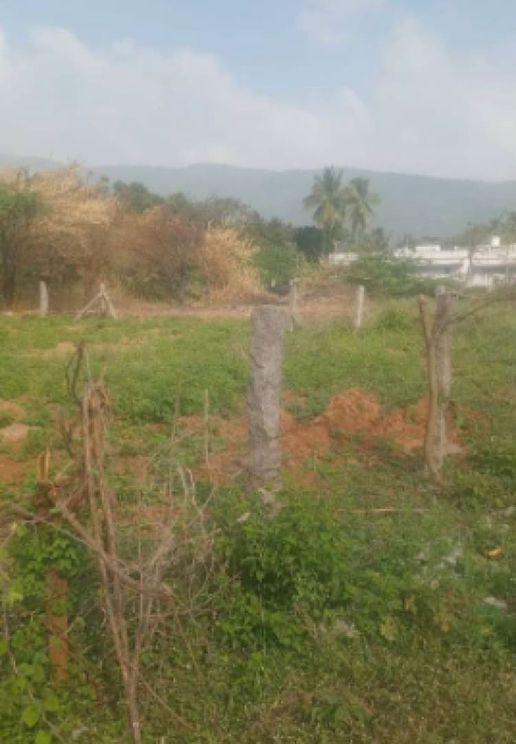 Single Property Image