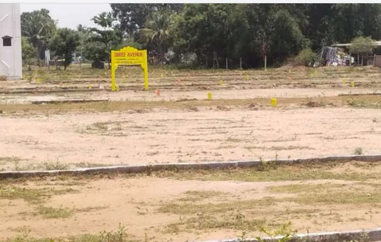 Land for sales