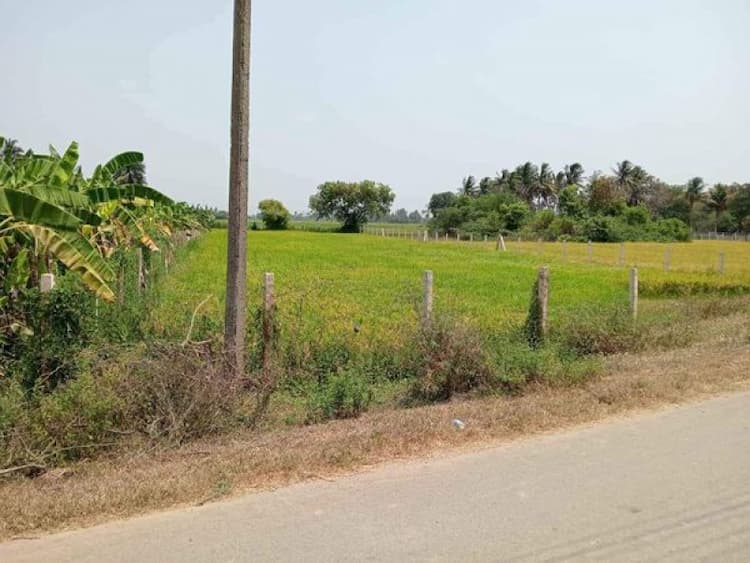 Farm land sale