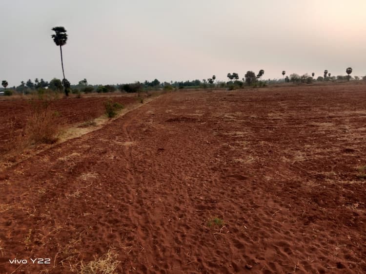 Land for sales