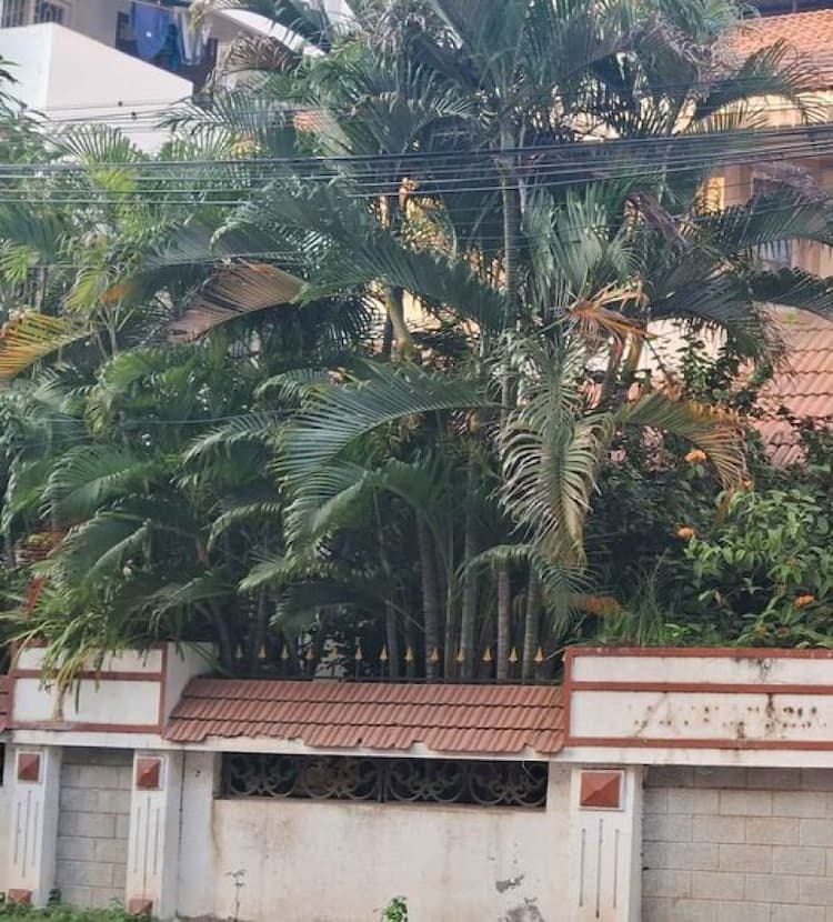 5bhk house for sale 