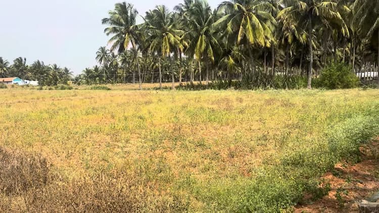 1 Acre Land for Sale