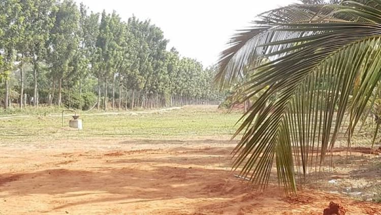 Land sale