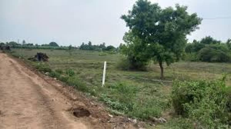 Plot sale