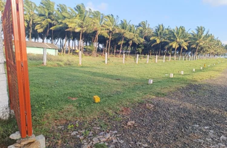 Land for sale
