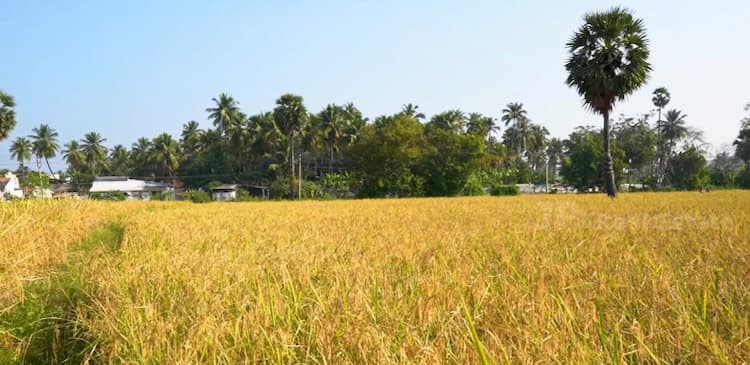 2.50 Acre for sales