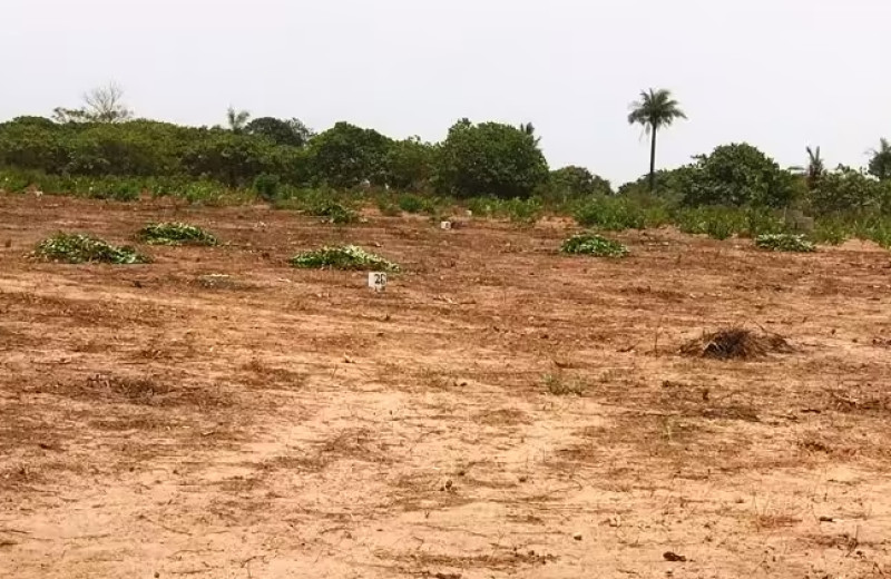 Land for Sale