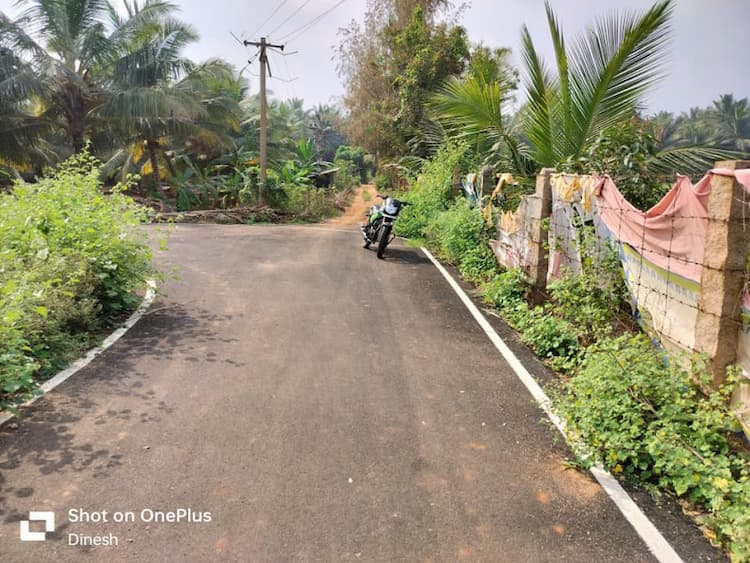 Agricultural land for sale