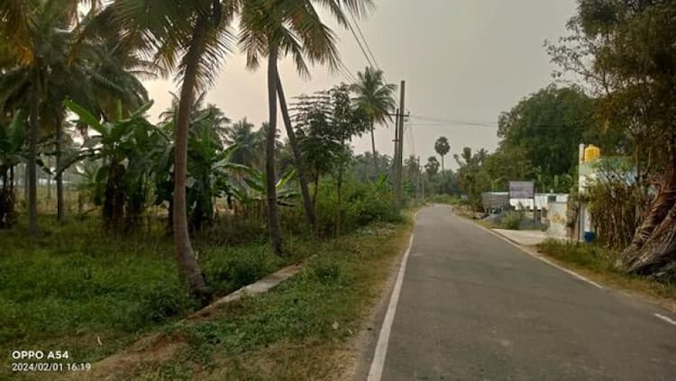 Land For Sales