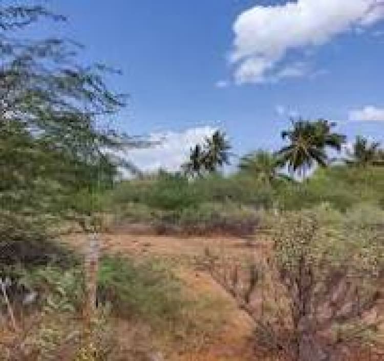 Plot for sale