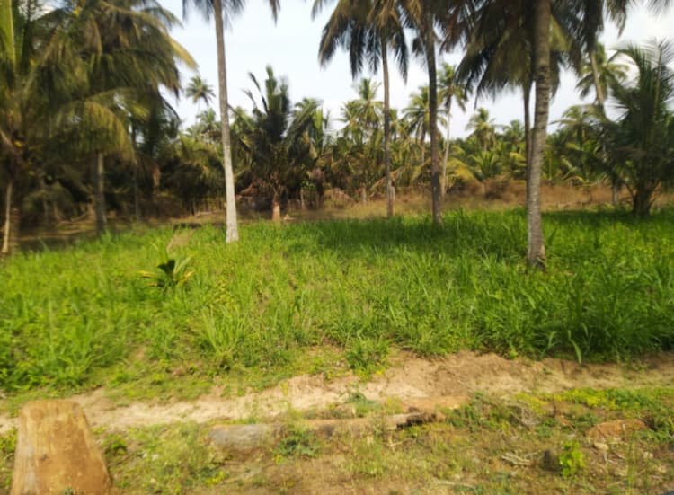 Single Property Image