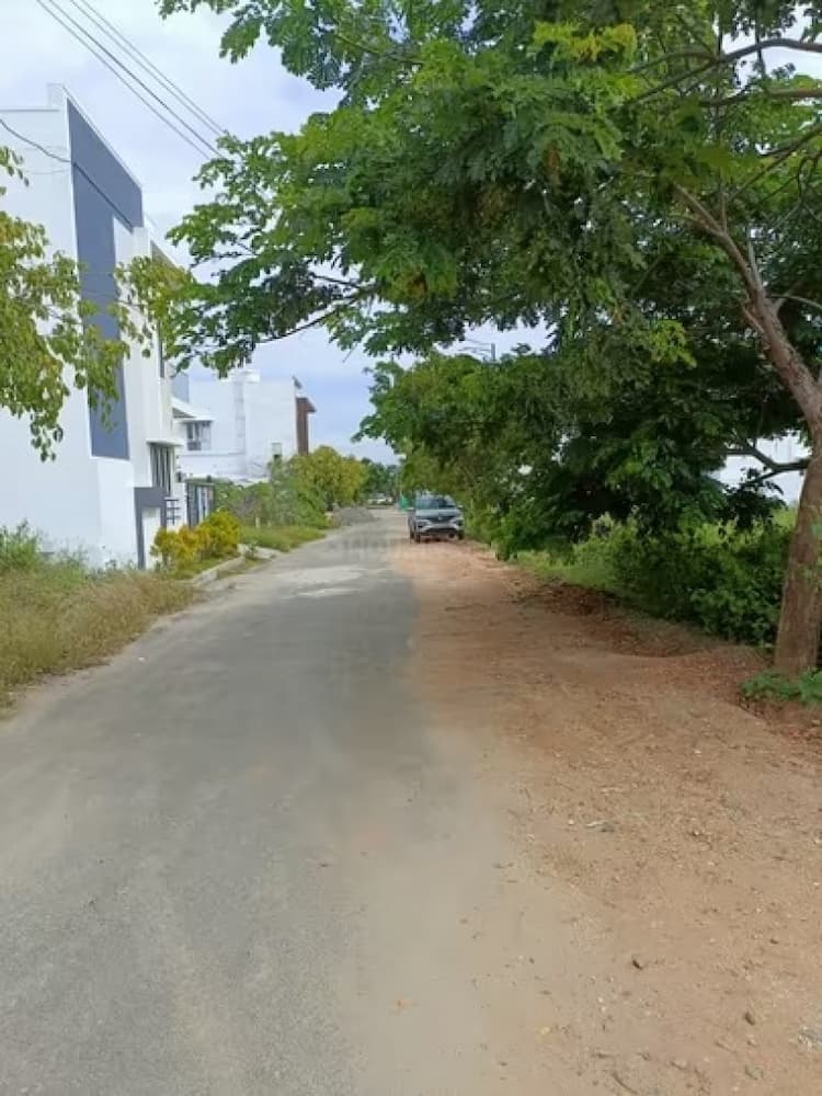 Residential Plot
