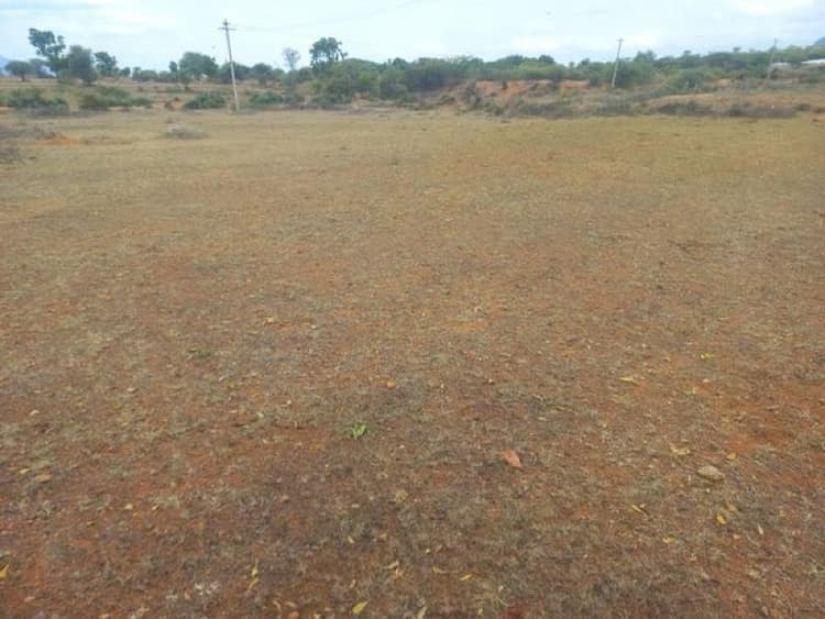 Low Budget Land for Sale