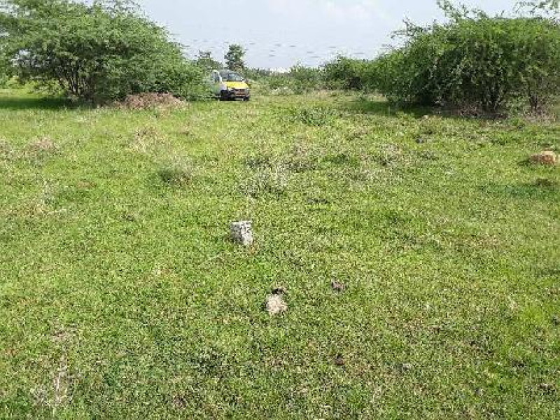Residential plot