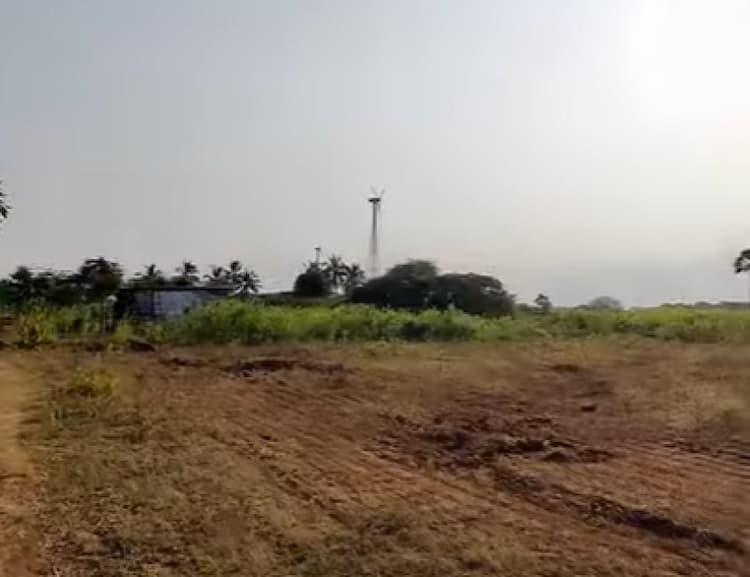 Land for sales