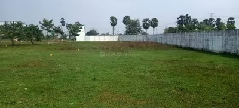 Residential Plot