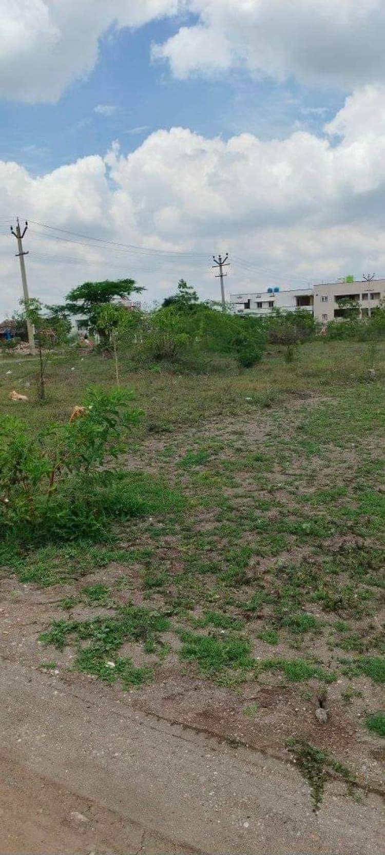 Land for Sale