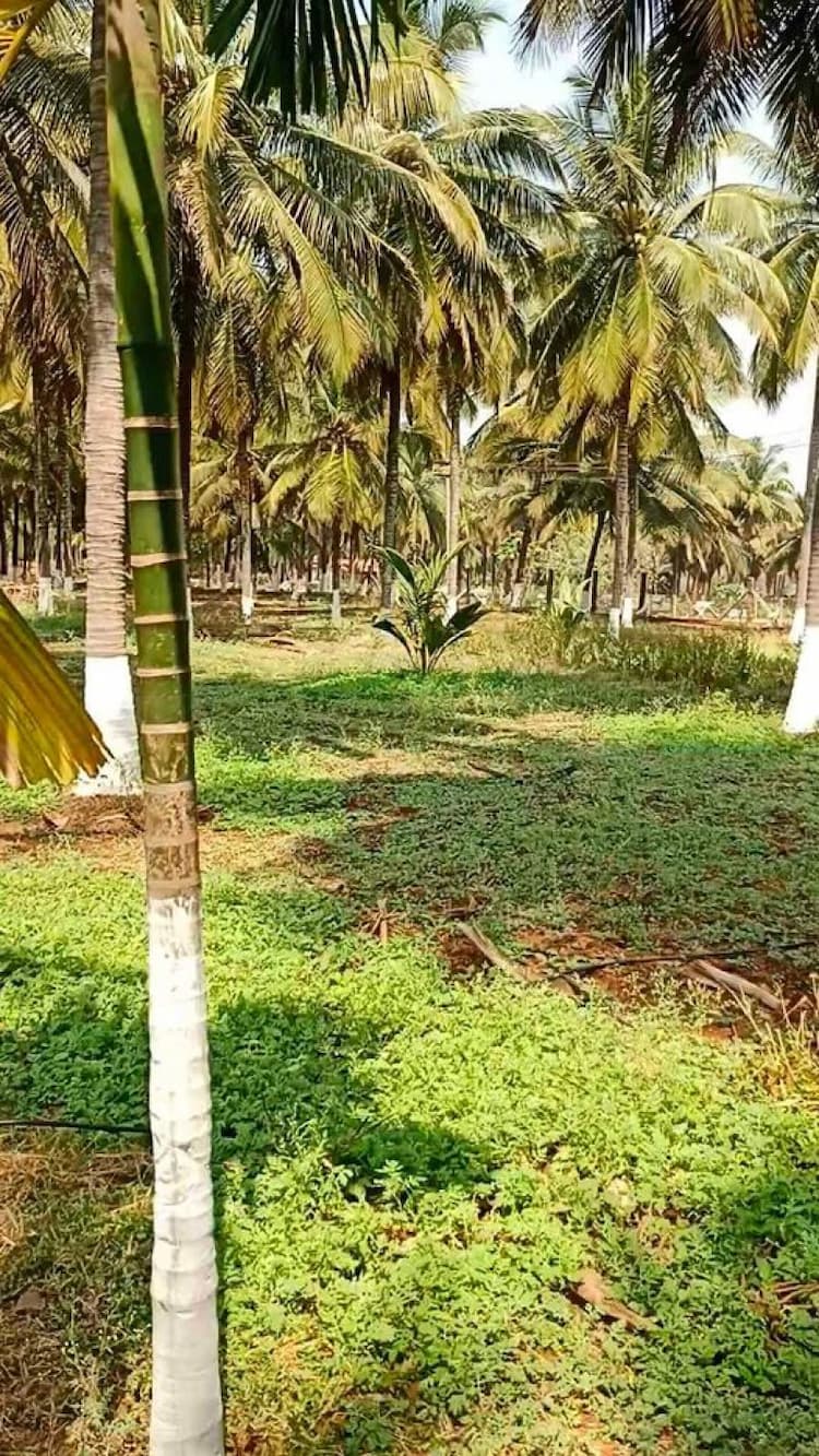 farm land for sale
