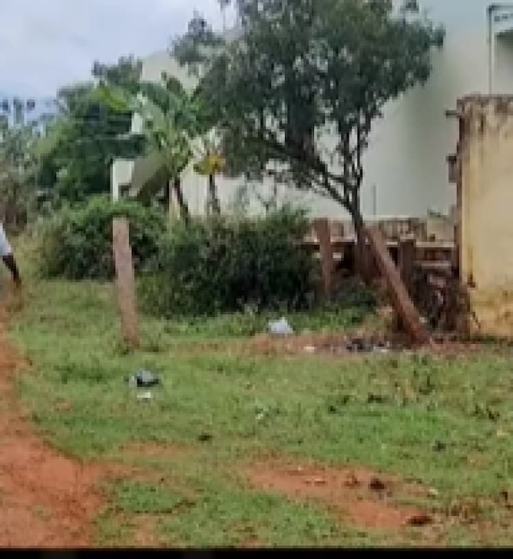 Land for sales