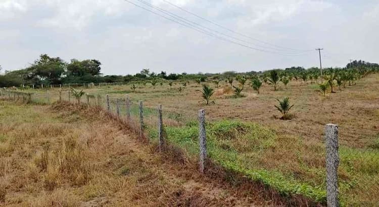 20 Acre Land for Sale