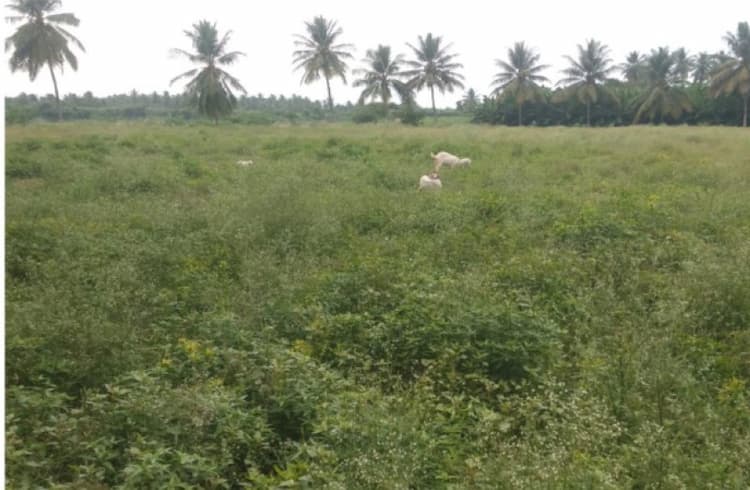 1.50 acre for sales