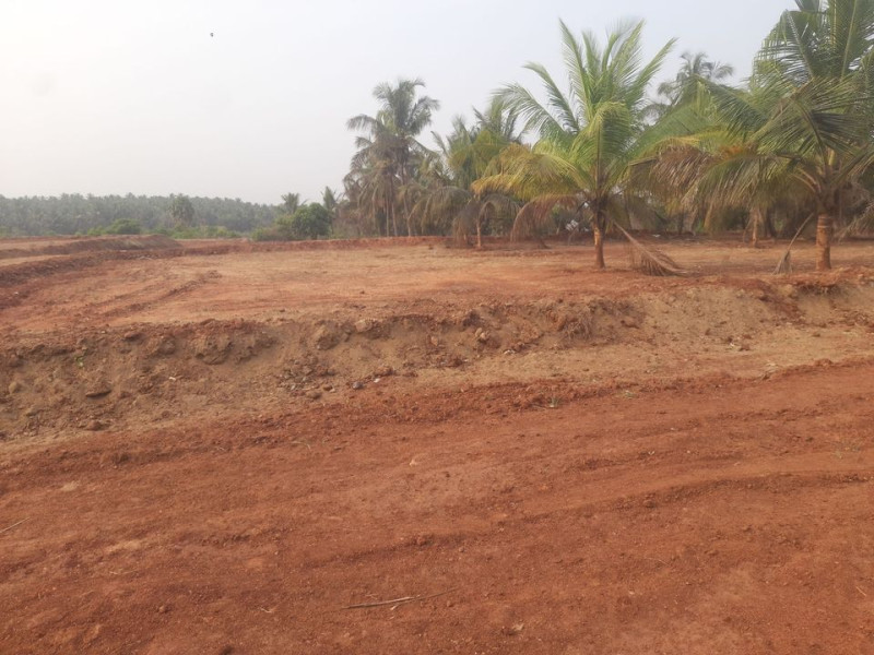 agri land for sale