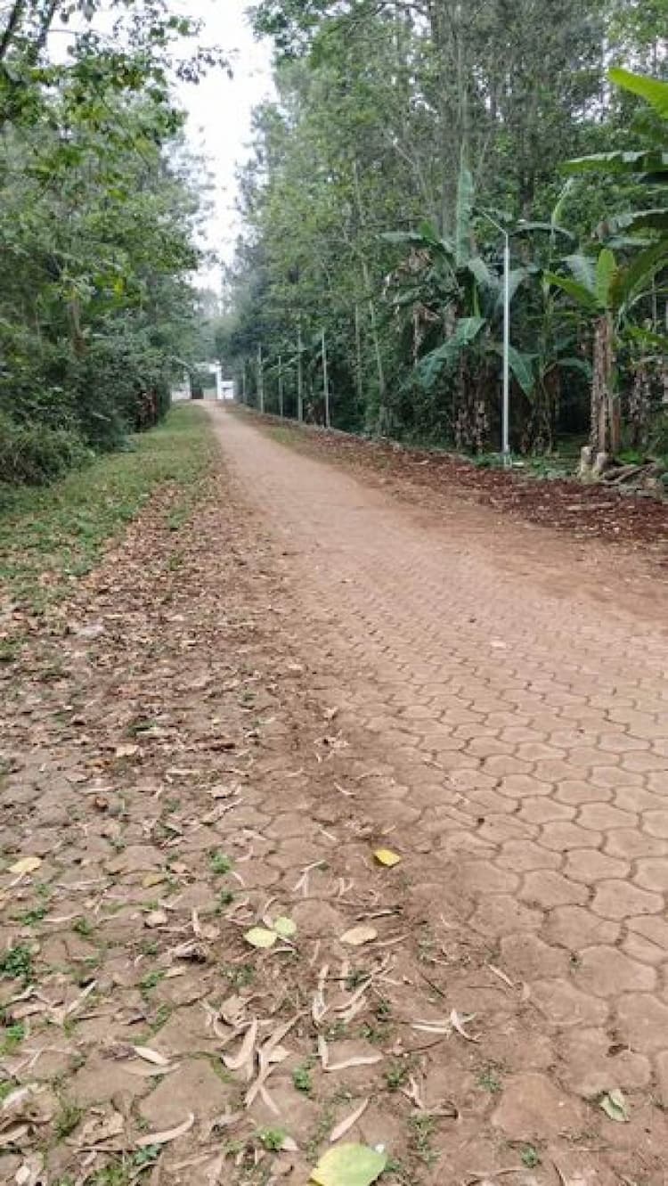 Land For Sales