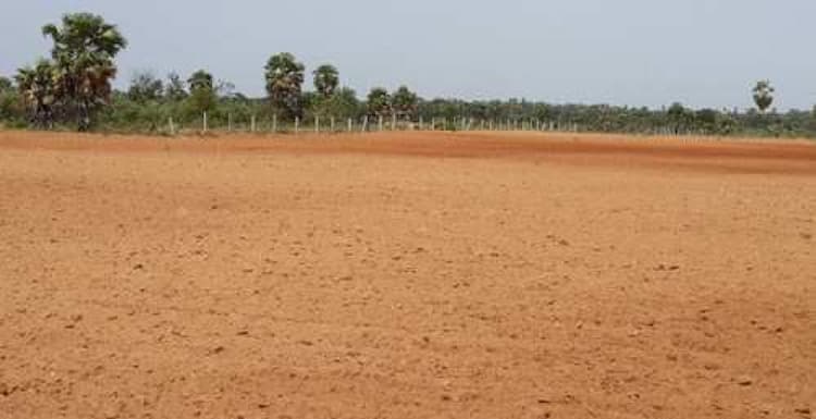 Plot sale