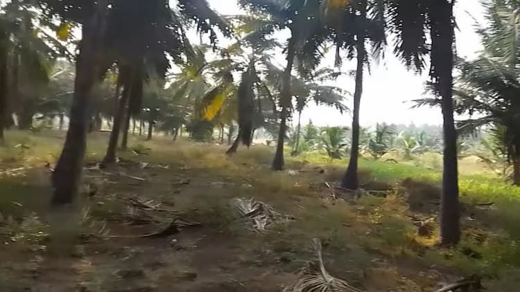 Land for Sale