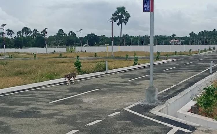Land for Sale