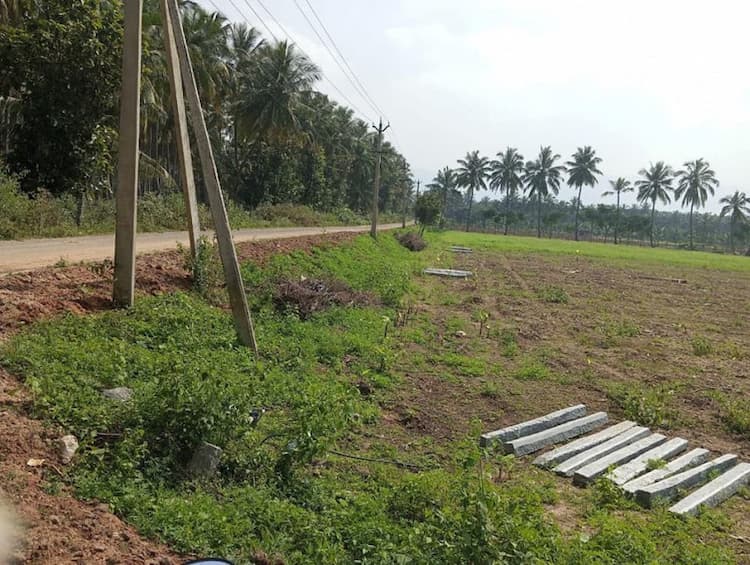 land for sale